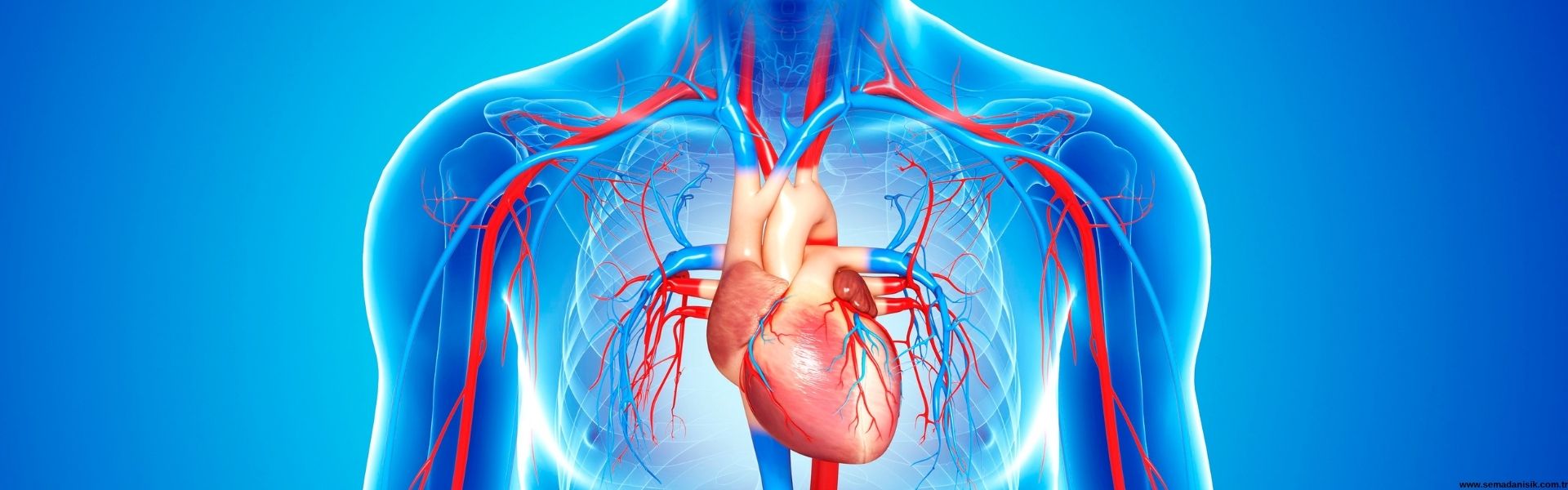 Bemer Tedavisi Samsun Fizyoterapi