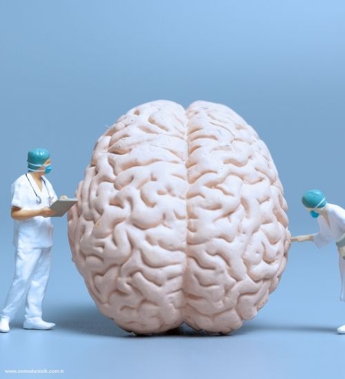 Psikonöroimmünoloji (PNI) Nedir?