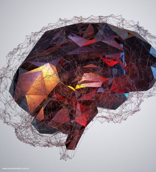 Beyin Hasarında Fizyoterapi (Nörorehabilitasyon) Nedir?