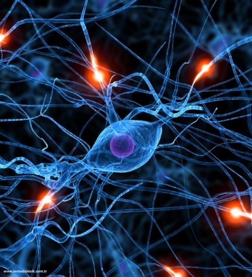 MS Tedavisinde Fizyoterapinin Önemi ve Yöntemleri