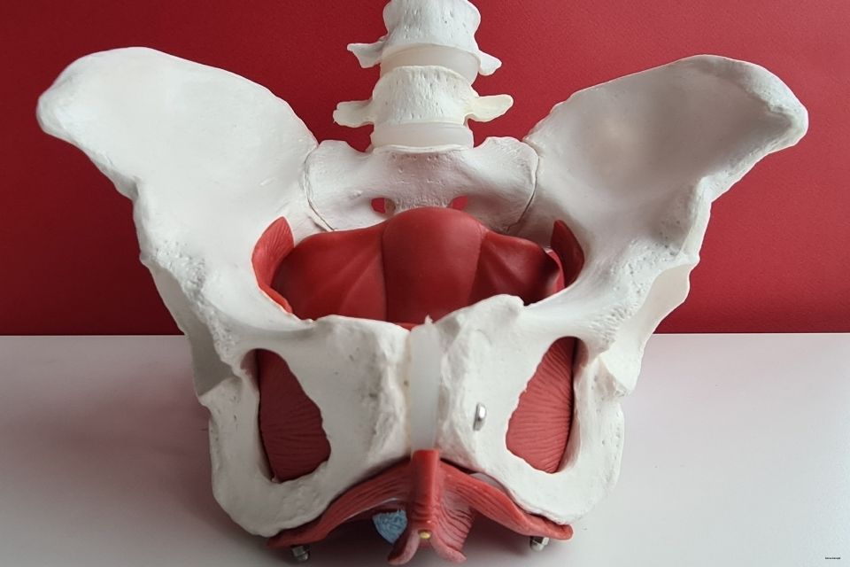 Pelvik Sağlıkta Çözüm Ortağınız - Uzm. Fzt. Sema Danışık